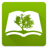 Bible Study Icon